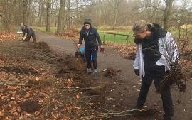 Bomen redden in Park Rusthoff, help je mee?