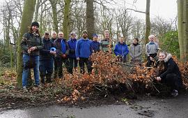 Meer dan 1200 bomen en struiken geoogst in Park Rusthoff 