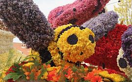 Bloemencorso Bollenstreek steeds duurzamer