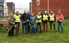 Teylingen: Een gratis boom voor in jouw tuin!