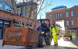 Katwijk plaatst bomen in bakken