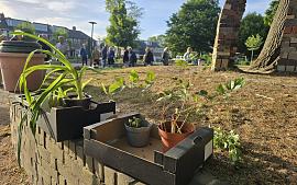 Samen vergroenen door plantjes te ruilen