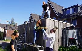 Buren Ringoevers Hillegom leggen samen groene daken aan