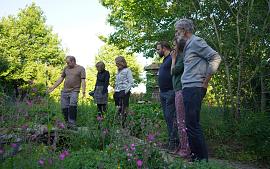 Meer groen in jouw straat? Doe mee met de plantdag Alle Straten Groen!