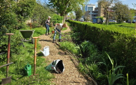 Tip van de Tuinambassadeurs: De gestruinde tuin