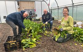 Handen uit de mouwen tijdens NLdoet!