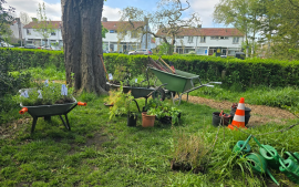 Plantenruildag met de Tuinambassadeurs