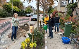 Tegels eruit, planten erin actie