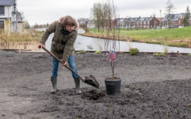 Tuinambassadeurs Stappenplan voor een nieuwe tuin