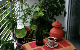 Tuinambassadeurs Stappenplan balkontuinieren