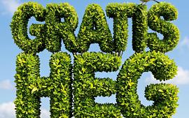 Vergroen je tuin of buurt met een gratis heg!