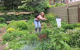 Park Rusthoff in actie voor Bijenlint Bollenstreek 