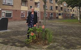 Boomspiegels maken de buurt nog leuker! 