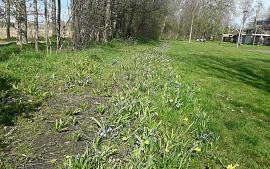 MEERGroen: Handen uit de mouwen voor de natuur, help je mee? 