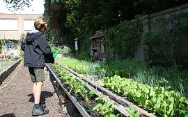 Tip van de Tuinambassadeurs: Je tuin minder vaak water geven