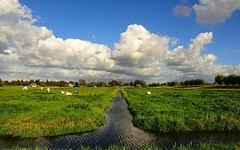 Help mee met onderzoek naar de oeverkanten