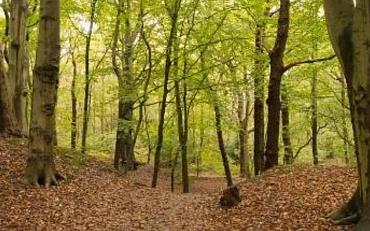 Zomerwandeling van NME De Groene Bol