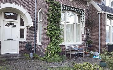 Workshop: Maak jouw groene geveltuin werkelijkheid!