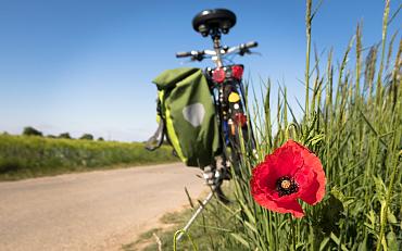 Eerste Fairtrade fietstocht Teylingen