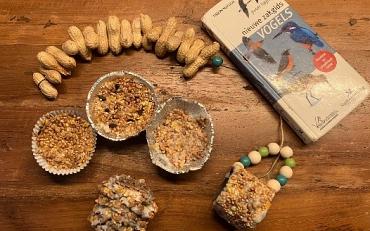 Help de vogels de winter door (Jeugdactiviteit)