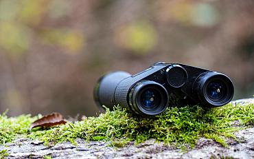 Vogels spotten! (jeugdactiviteit)