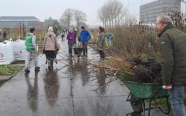 Gratis boompjes ophalen in Sassenheim!