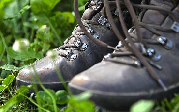 Wandeling met Natuurvereniging KNNV over Wassergeest