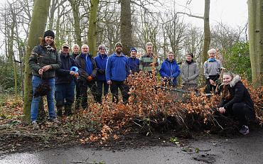 Meer dan 1200 bomen en struiken geoogst in Park Rusthoff 