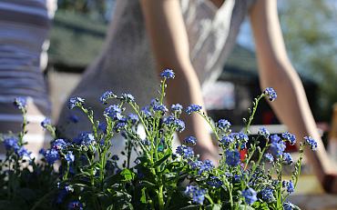 Zomertip van de Tuinambassadeurs