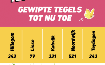 Tussenstand NK Tegelwippen 2024 tot en met mei
