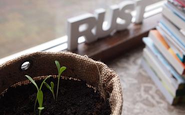 Tip van de tuinambassadeurs: Een plantenbieb aan huis
