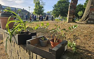 Samen vergroenen door plantjes te ruilen