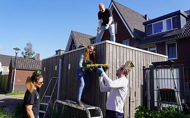 Buren Ringoevers Hillegom leggen samen groene daken aan