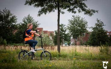 Ecologen onderzoeken beschermde dieren in Noordwijk