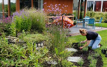 Hoveniersbedrijf De Rooij uit Hillegom uitgeroepen tot Duurzaamste Hovenier van Nederland