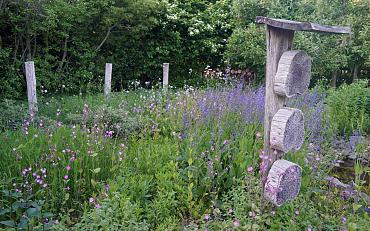 Vul het Tuinlabel in en win een regenton!