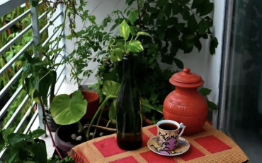 Tuinambassadeurs Stappenplan balkontuinieren