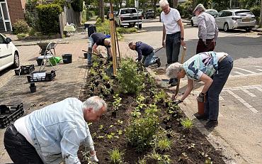 Maak jouw buurt groener met het buurtgroenbudget Lisse