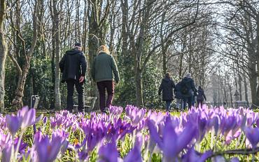 Nieuwe wandelgroep in Hillegom, Lisse en/of Teylingen 