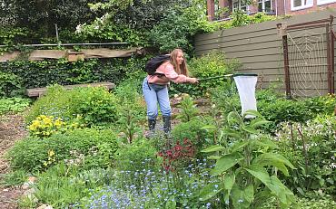 Park Rusthoff in actie voor Bijenlint Bollenstreek 