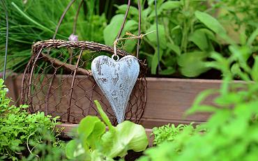 Tuinambassadeurs: Moestuinieren is helemaal in! 