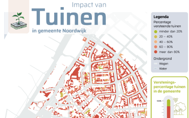 Hoe zit het met de verstening in de Duin- en Bollenstreek?