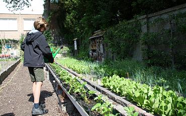 Tip van de Tuinambassadeurs: Je tuin minder vaak water geven