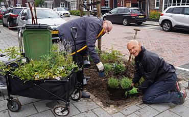 Buren maken de buurt tijdens Burendag 2023