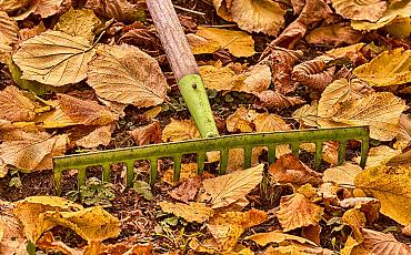 Tuinambassadeurs: Tuintips voor het najaar