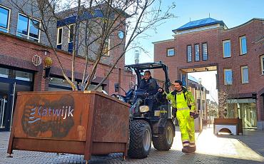 Katwijk plaatst bomen in bakken