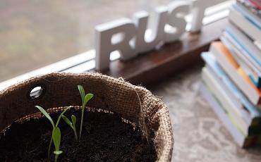 Tip van de tuinambassadeurs: Een plantenbieb aan huis
