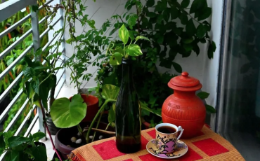 Workshop Balkontuinieren: Een groen, bloeiend én eetbaar balkon