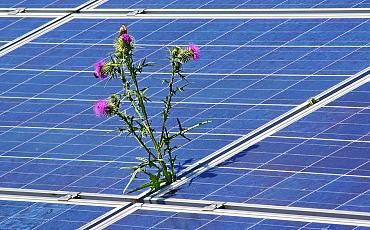 Zonnepanelen schoonmaken: tips en aandachtspunten