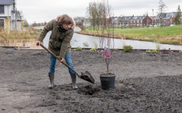 Tuinambassadeurs Stappenplan voor een nieuwe tuin